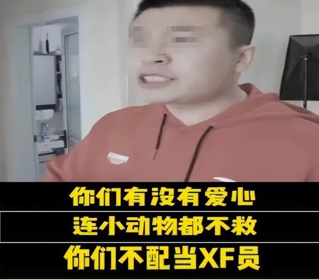 狗吃人的食物不吃狗粮了怎么办（狗吃人吗）