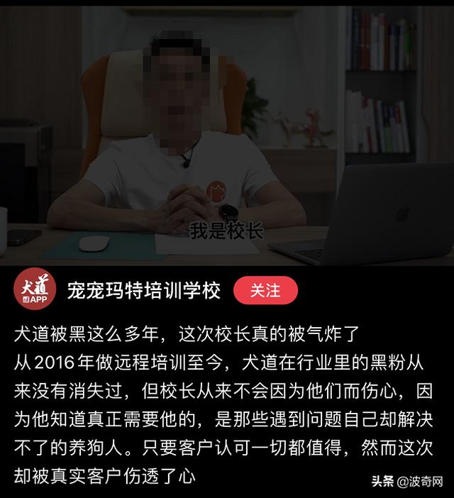 狗狗为什么越打越凶（小狗狗是不是越打越凶）