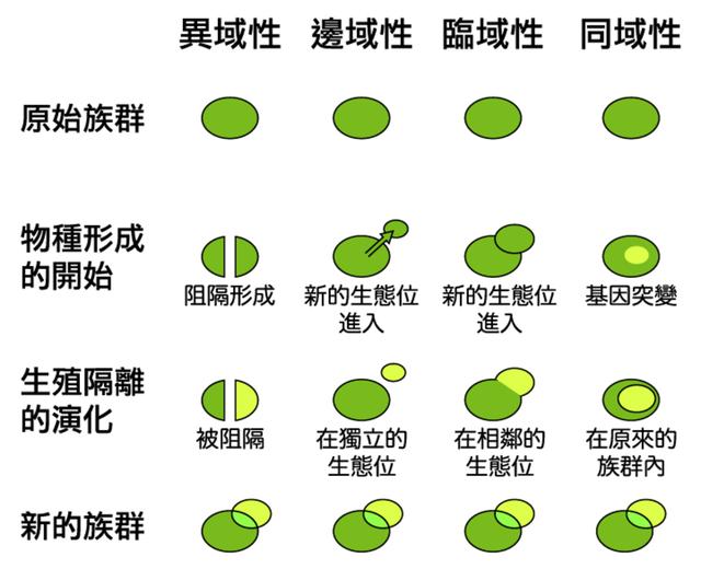 生殖隔离或是伪命题？婆罗洲杂交猴诞下的后代，有可能是新物种？