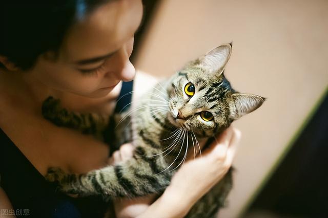 宠物猫怕什么动物（什么动物天生最怕猫）