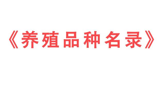 养殖兔子的成本与利润分析（兔子养殖利润和成本计算）