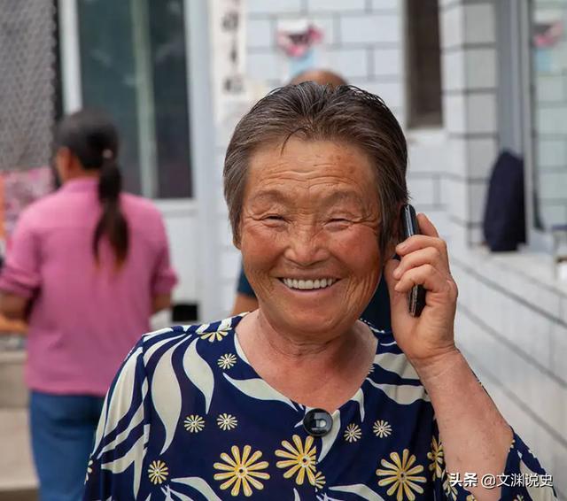 银狐犬一只最少多少元（银狐犬图片）