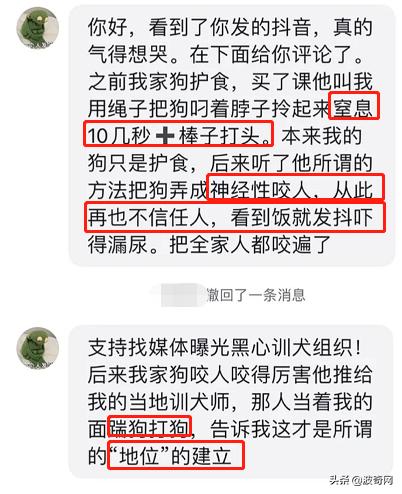 狗狗为什么越打越凶（小狗狗是不是越打越凶）