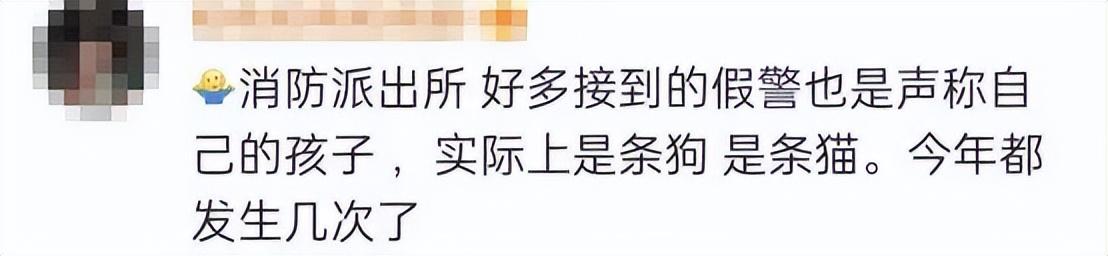 狗吃人的食物不吃狗粮了怎么办（狗吃人吗）