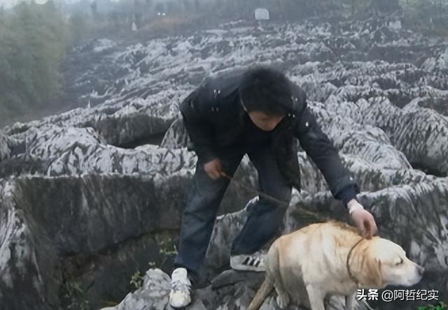 流浪狗为什么跟着人走（流浪狗跟着人走是什么兆头）