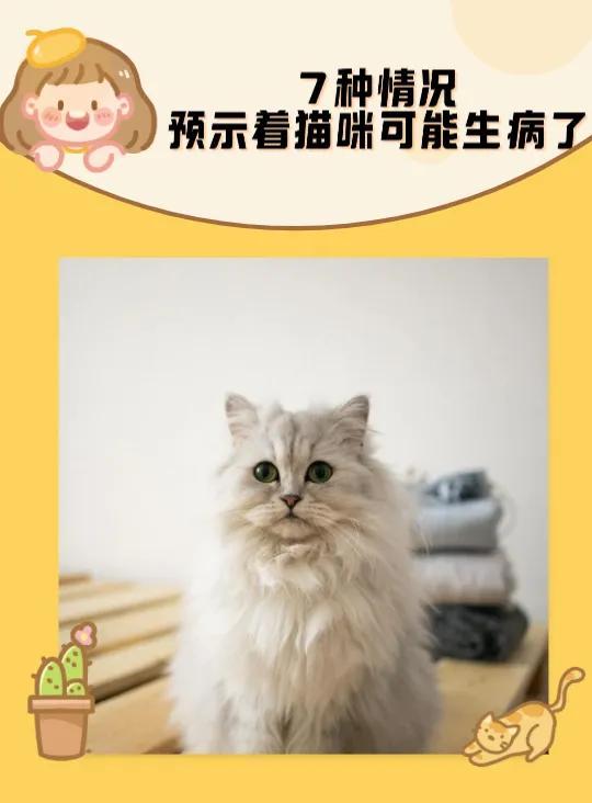 小猫突然没精神不吃东西（猫不吃东西但是很活泼是怎么回事）