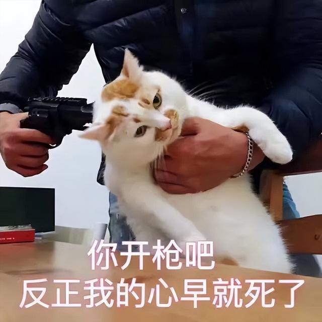 猫猫能不能闻花露水（猫咪可以闻花露水）