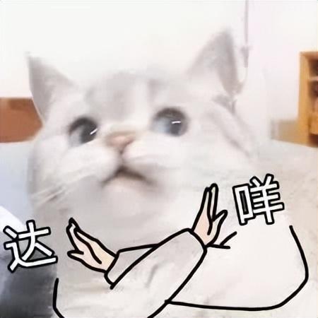 猫猫能不能闻花露水（猫咪可以闻花露水）