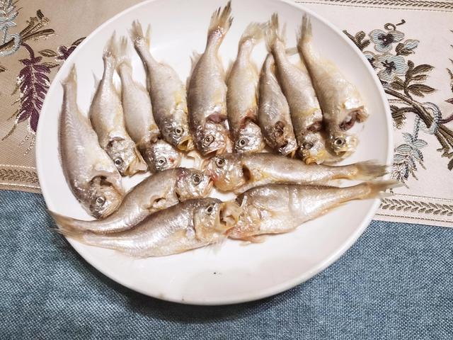 常吃的深海鱼有哪些品种（可食用深海鱼有哪些品种）