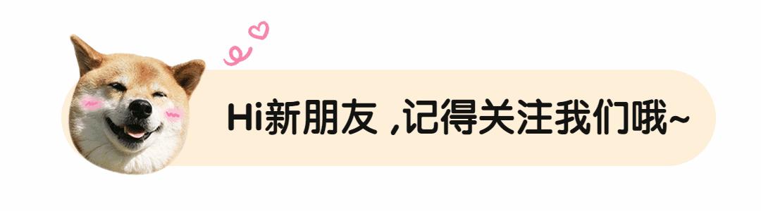 人类细小病毒症状（德牧幼犬细小病毒症状）