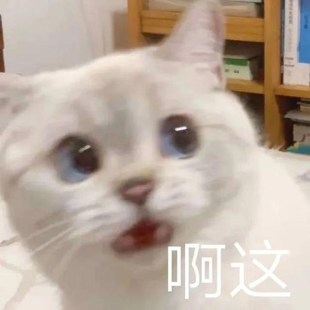 猫猫能不能闻花露水（猫咪可以闻花露水）