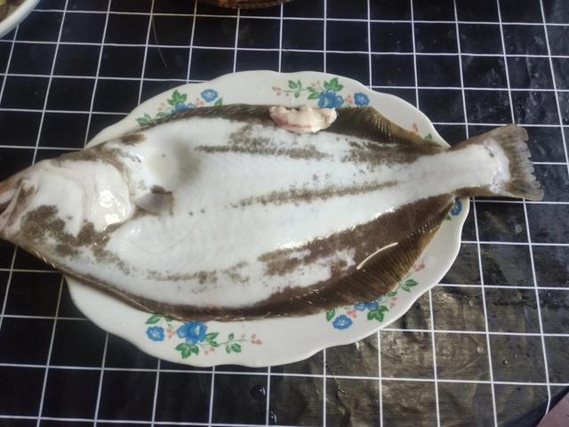 常吃的深海鱼有哪些品种（可食用深海鱼有哪些品种）