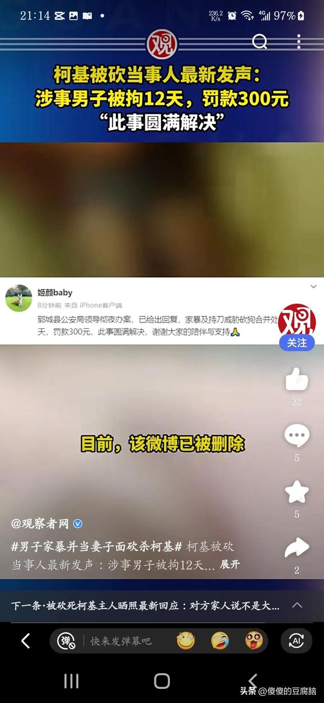 金毛多少钱一只？比熊多少钱一只！