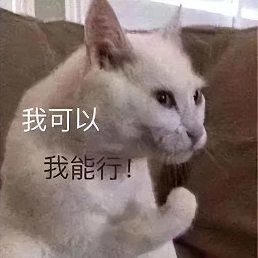 猫猫能不能闻花露水（猫咪可以闻花露水）