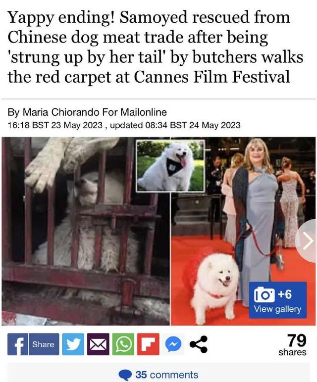 萨摩耶犬图片大全？萨摩耶犬图片大全_成年！