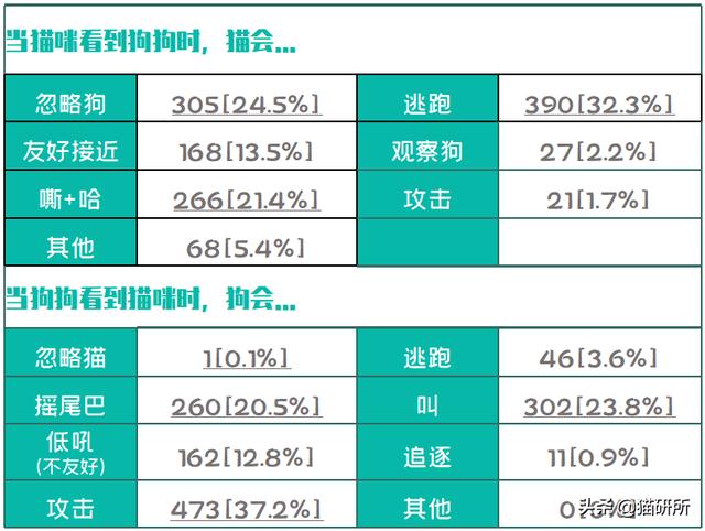 长期挨打的猫会怎样（猫能挨打吗）