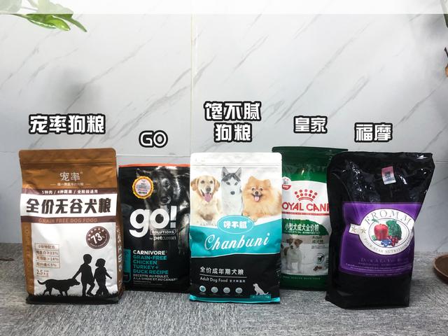 田园犬和土狗有什么不同长期喂鸡肠的狗（田园犬和土狗有什么不同纯白狗是什么品种）