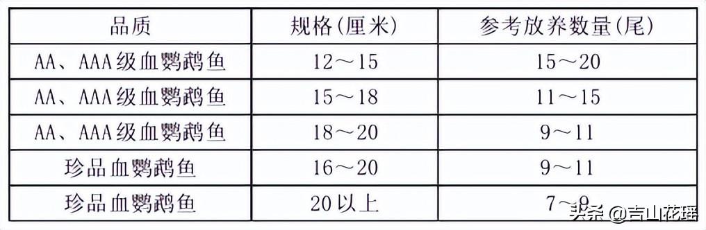 鹦鹉鱼变白怎么回事躺角落（迷你鹦鹉鱼变白怎么回事）