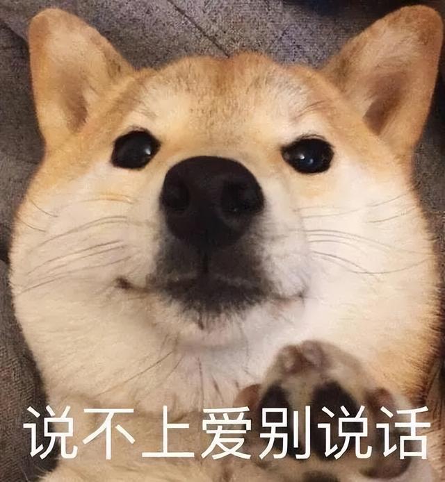 古牧犬适合家养吗（古牧犬优缺点）