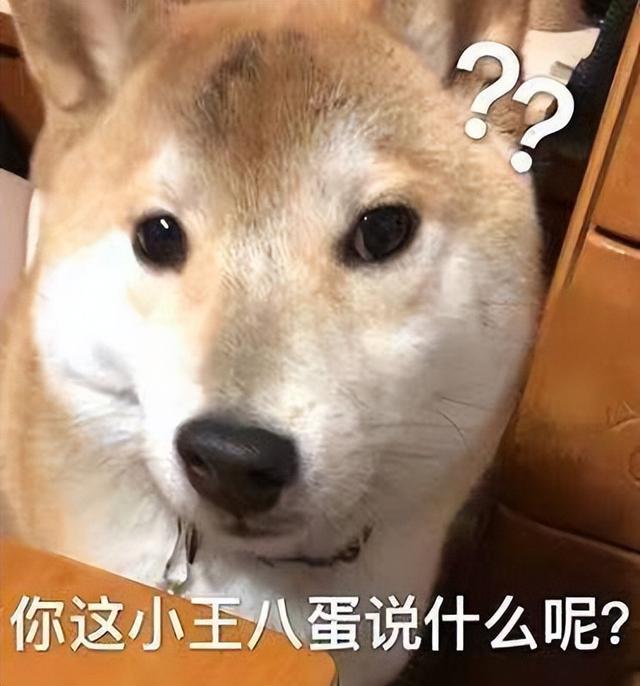 古牧犬适合家养吗（古牧犬优缺点）