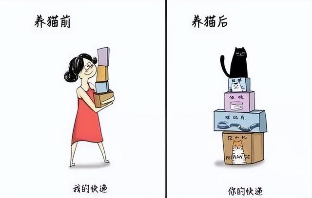 养猫头鹰犯法吗（养猫会引起呼吸道疾病吗）