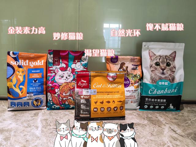 伯曼猫多少钱一只（伯曼猫的缺点）