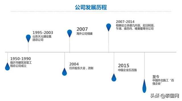 暹罗猫价格多少钱一只（暹罗猫优点和缺点）