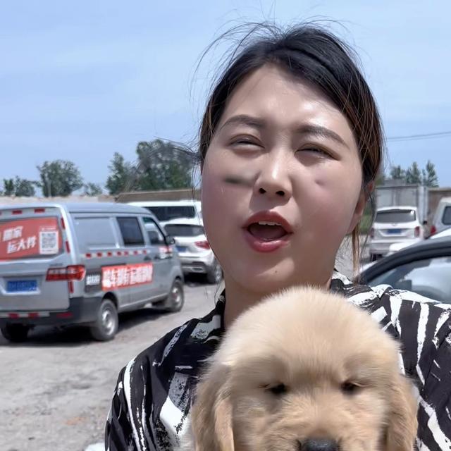 金毛犬的价格多少钱一只幼犬？金毛犬价格大概多少钱一只！