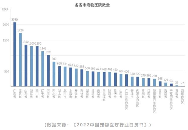 雪纳瑞价格大概多少钱一只？雪纳瑞小狗价格！