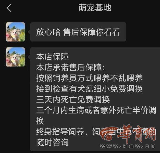 买狗狗去哪个网站买可靠？买狗狗去哪个网站买可靠又便宜！