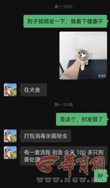 买狗狗去哪个网站买可靠？买狗狗去哪个网站买可靠又便宜！