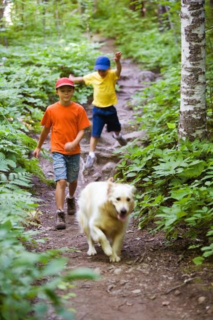 拉布拉多多少钱一只幼崽纯种？拉布拉多多少钱一只幼崽出售的！