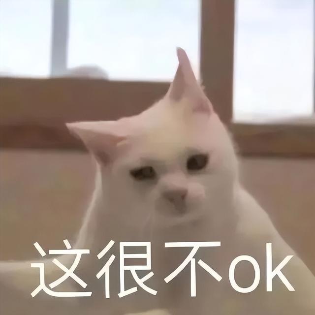 猫猫能不能闻花露水（猫咪可以闻花露水）