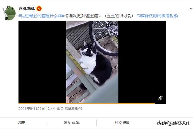 小猫咪一直发出咕噜咕噜的声音还踩奶（小猫咪一直发出咕噜咕噜的声音不停）