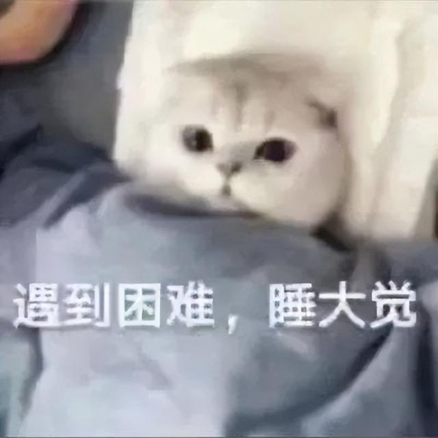 猫猫能不能闻花露水（猫咪可以闻花露水）