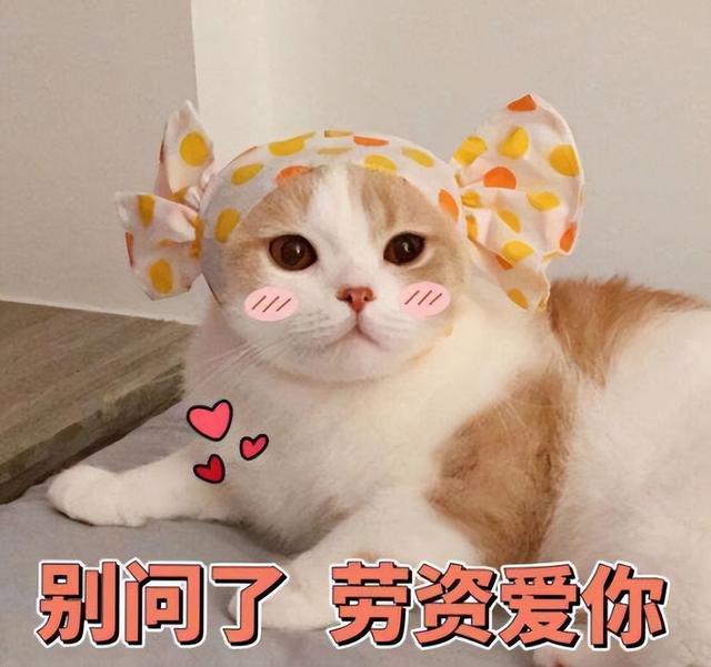 被猫舔了皮肤会怎么样吗（被小猫舔了一下皮肤要不要紧）