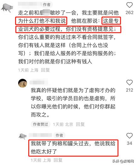 狗狗为什么越打越凶（小狗狗是不是越打越凶）