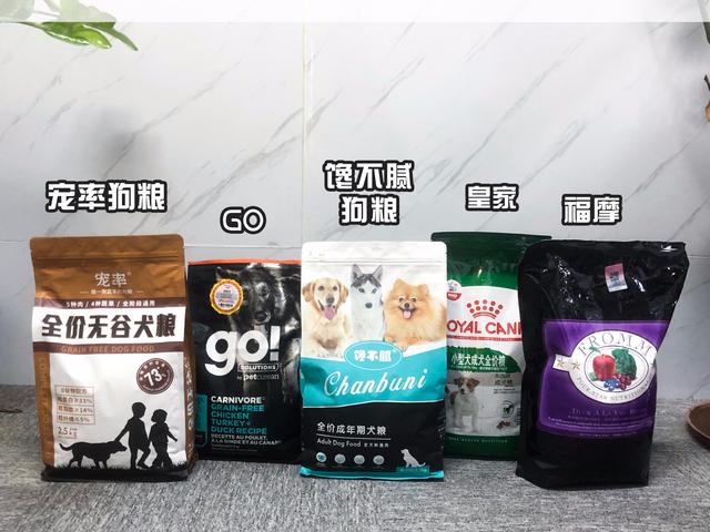 坎高犬厉害还是比特犬厉害（坎高犬幼犬的挑选）