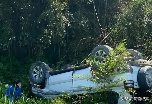 流浪狗为什么跟着人走（流浪狗跟着人走是什么兆头）