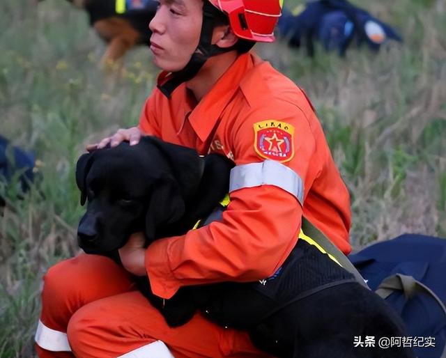 流浪狗为什么跟着人走（流浪狗跟着人走是什么兆头）