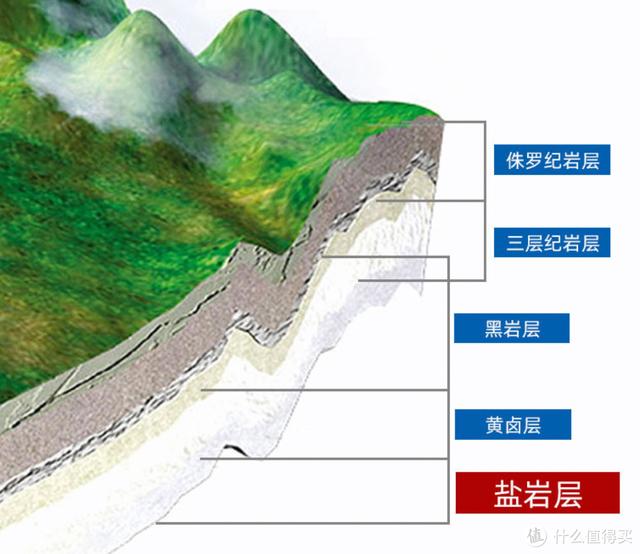 上海食盐加碘还是不加碘的好（四川食盐加碘还是不加碘的好）