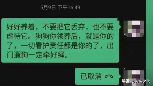 卖狗狗的平台？卖狗狗的平台哪个好！