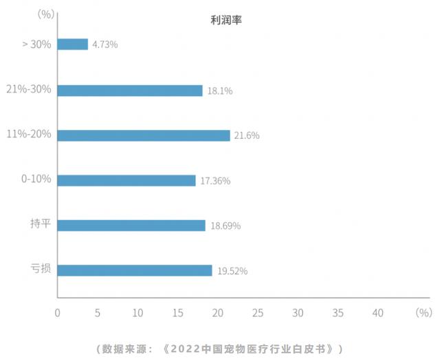 雪纳瑞价格大概多少钱一只？雪纳瑞小狗价格！