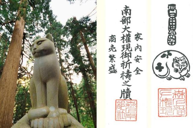 国内缅因猫舍排名（国内知名缅因猫舍）