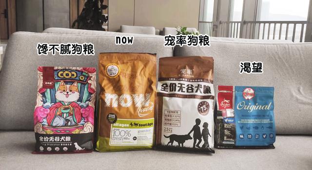 柯基犬智商排名前100名（小柯基智商排名）