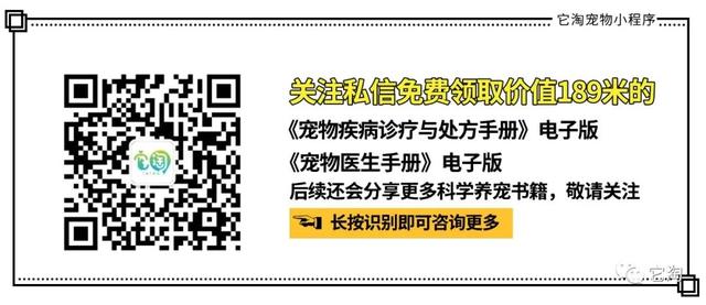 猫突然不吃饭 但是精神（猫很活泼但是不吃东西）