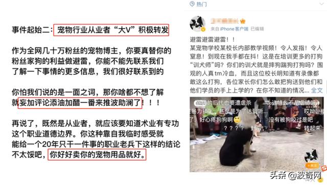 哈士奇犬多少钱一只幼崽（哈士奇犬和阿拉斯加犬）