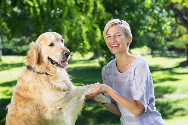 纯种德牧犬幼犬多少钱一只（纯种德牧犬价格）