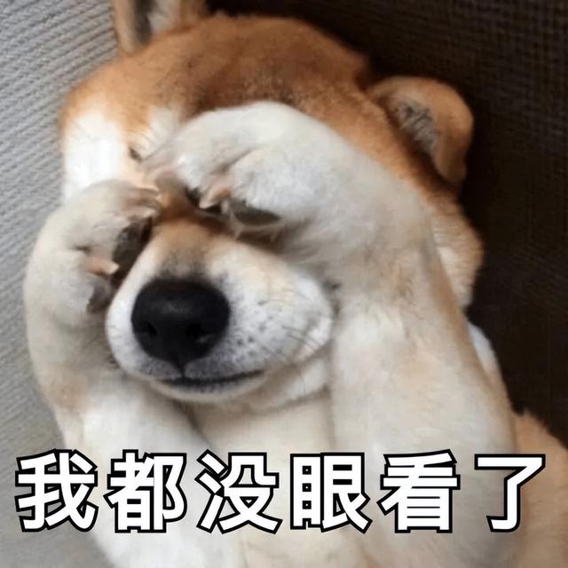 2种名犬图片及名字及资料（各种名犬图片及名字