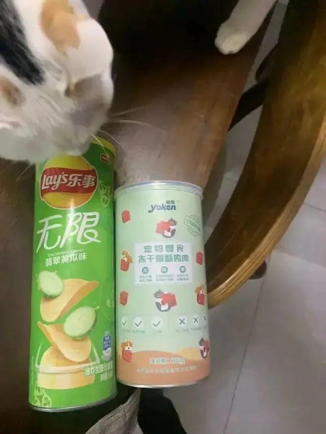 猫能吃薯片吗_（猫为什么不能吃薯片）